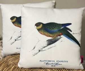 Outdoor – Avian Pillows