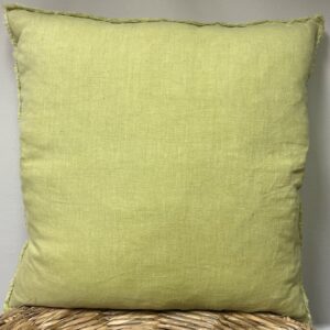 Green Fringe Pillow